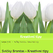 Svickybrontas.blog.cz